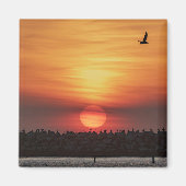 Schöne Sonnenuntergangsfarben - Marina Del Rey, CA Magnet (Vorne)