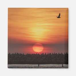Schöne Sonnenuntergangsfarben - Marina Del Rey, CA Magnet