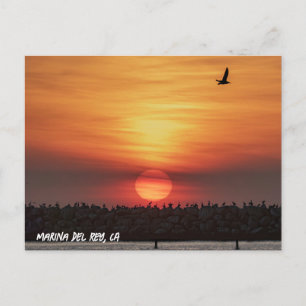 Schöne Sonnenuntergangsfarben - Marina Del Rey, CA Postkarte