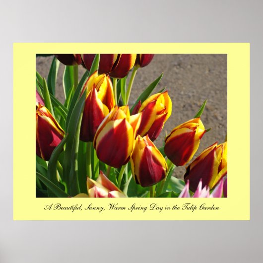 Schöne sonnige Sonnenterrasse Frühlingstag Kunst, Poster (Vorne)