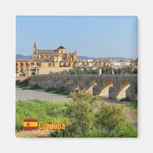 Schöne Stadt Cordoba in Spanien, Reise Magnet