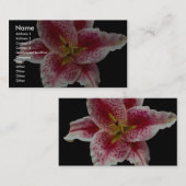 Schöne Stargazerlilie Visitenkarte (Vorne/Hinten)