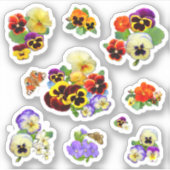 Schöne Stiefmütterchen Contour Aufkleber (Vorderseite)