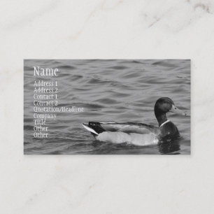 Schöne Stockenten-Ente Visitenkarte