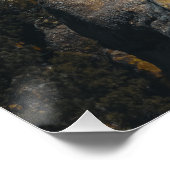 Schöne Süddakota Naturescape unter Moody Sky Poster (Ecke)