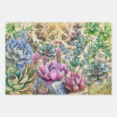 Schöne Sukkuläre Sorten Geschenkpapier Set (Vorderseite 3)