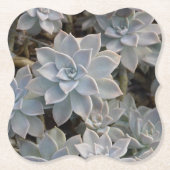 Schöne Sukkulationen botanische Fotografie Untersetzer (Vorderseite)