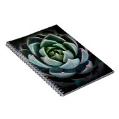 Schöne Sukkulente Blume Naturfotografie Notizblock (Rechte Seite)