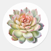 Schöne Sukkuline Blume Wasserfarbe Runder Aufkleber (Vorderseite)