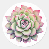 Schöne Sukkuline Blume Wasserfarbe Runder Aufkleber (Vorderseite)