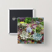 Schöne Sukkulturen Button (Vorne & Hinten)