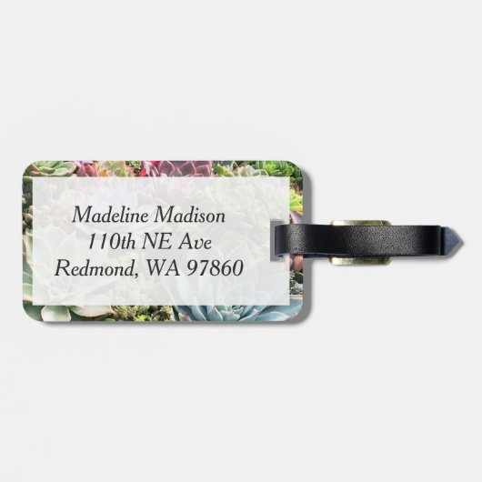 Schöne Sukkulturen Gepäckanhänger (Rückseite horizontal)