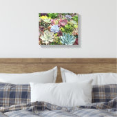 Schöne Sukkulturen Leinwanddruck (Insitu (Schlafzimmer))