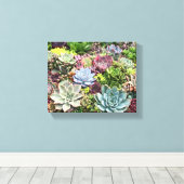 Schöne Sukkulturen Leinwanddruck (Insitu (Holzboden))