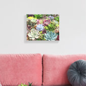 Schöne Sukkulturen Leinwanddruck (Insitu (Wohnzimmer))