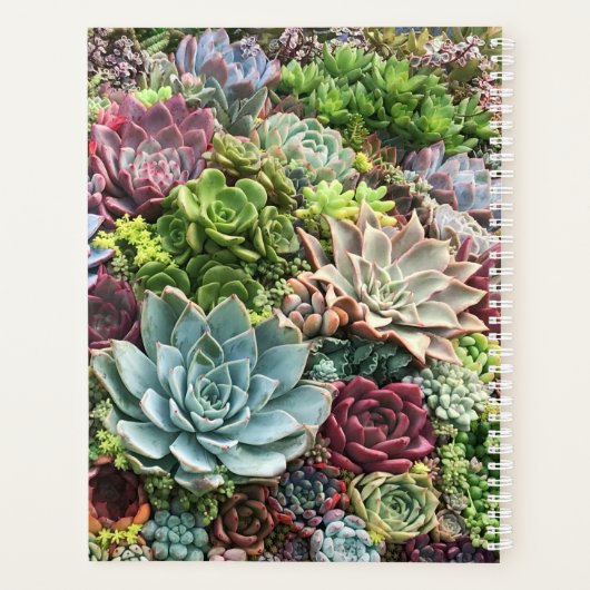 Schöne Sukkulturen Planer (Rückseite)