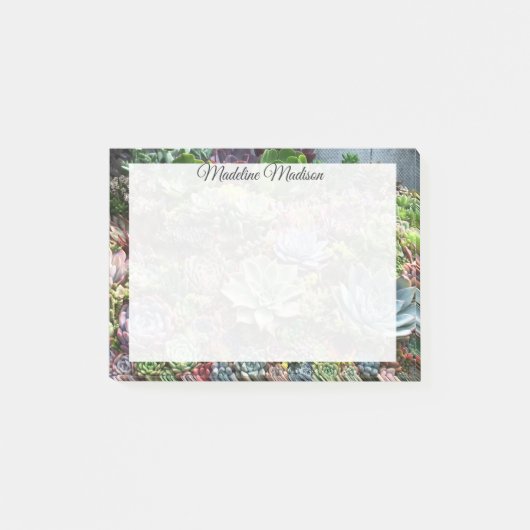 Schöne Sukkulturen Post-it Klebezettel (Vorderseite)