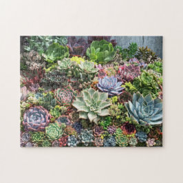 Schöne Sukkulturen Puzzle