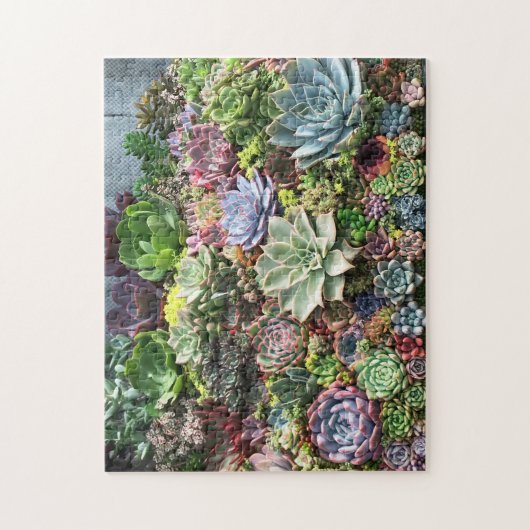 Schöne Sukkulturen Puzzle (Vertikal)