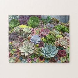 Schöne Sukkulturen Puzzle