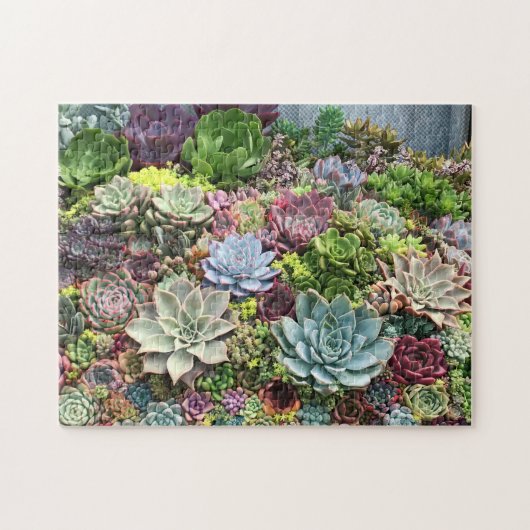 Schöne Sukkulturen Puzzle (Horizontal)