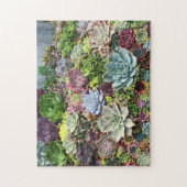 Schöne Sukkulturen Puzzle (Vertikal)