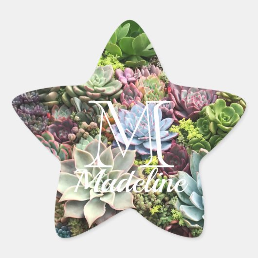 Schöne Sukkulturen Stern-Aufkleber (Vorderseite)