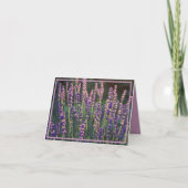 Schöne Sunlit Lavender Blume Dankeskarte (Vorderseite)