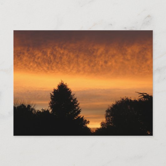 Schöne Sunrise Postkarten (Vorderseite)
