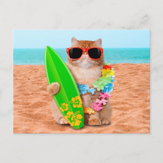 Schöne Surfer Katze am Strand Postkarte (Vorderseite)