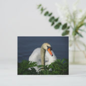Schöne Swan DIY Postcard Postkarte (Stehend Vorderseite)