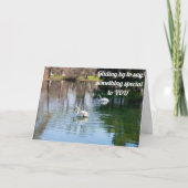 SCHÖNE SWANS SCHICKEN **GEBURTSTAG WISHER** KARTE (Vorderseite)