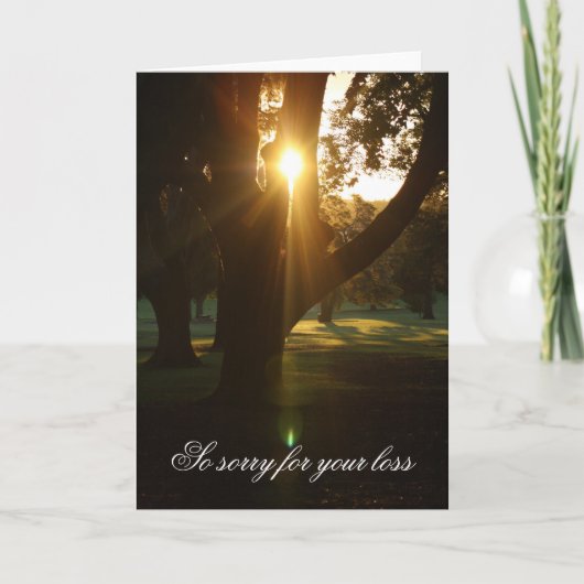 Schöne Sympathiekarte für Sonnenuntergänge Karte (Vorderseite)