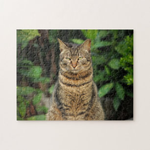 Schöne Tabby Cat Puzzle