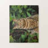 Schöne Tabby Cat Puzzle (Vertikal)