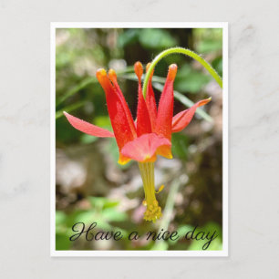 Schöne Tage Postkarte