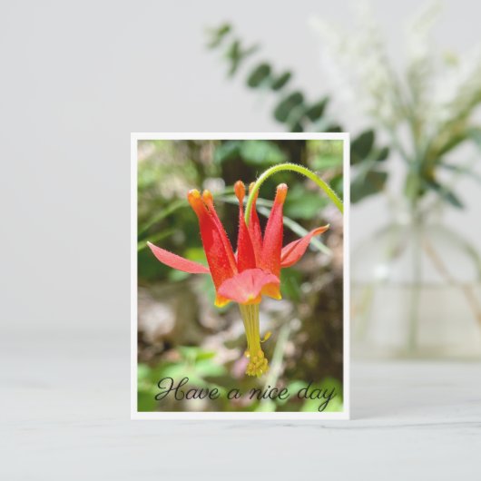 Schöne Tage Postkarte (Stehend Vorderseite)