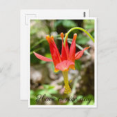 Schöne Tage Postkarte (Vorne/Hinten)