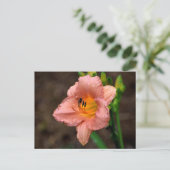 Schöne Taglilie Blume Postkarte (Stehend Vorderseite)