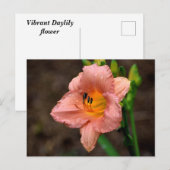 Schöne Taglilie Blume Postkarte (Vorne/Hinten)