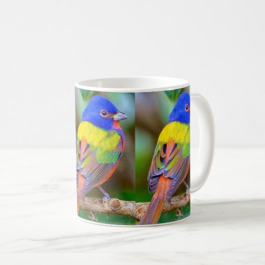 Schöne Tasse des Vogel-Kaffees (VorderseiteRechts)