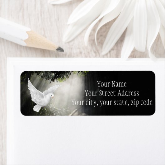 Schöne Taube im Sonnenlicht (Insitu)