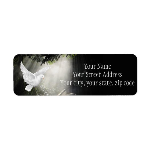 Schöne Taube im Sonnenlicht (Vorne)