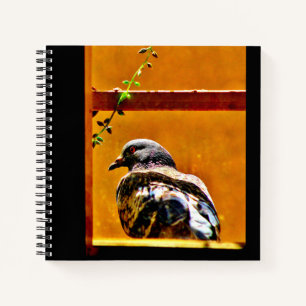 Schöne Taube Notizblock