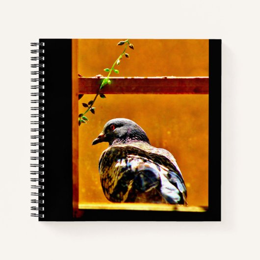 Schöne Taube Notizblock (Vorderseite)