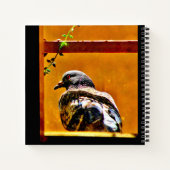 Schöne Taube Notizblock (Rückseite)