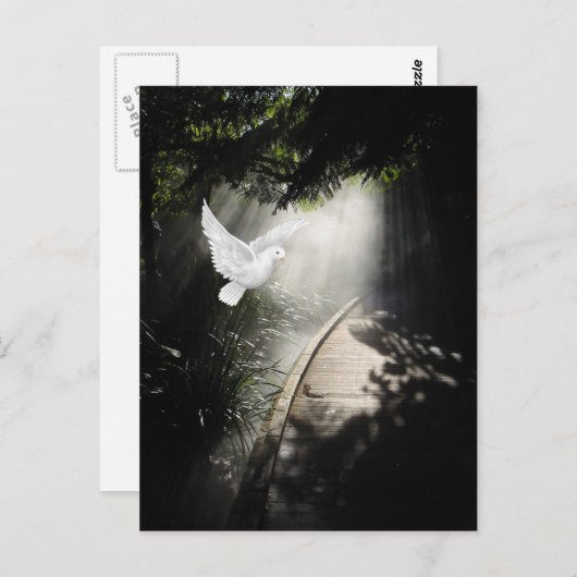 Schöne Taube Postkarte (Vorne/Hinten)