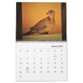 Schöne Tauben-Kalender Kalender (Jan 2027)