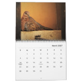 Schöne Tauben-Kalender Kalender (Mär 2027)