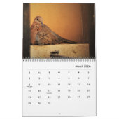Schöne Tauben-Kalender Kalender (Mär 2026)